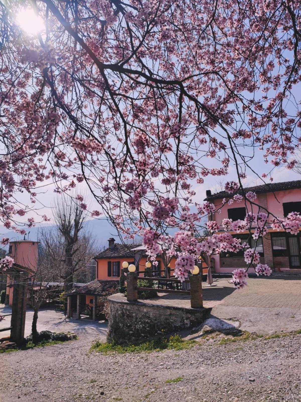 Agriturismo Villa Enrichetta Bettola  Kültér fotó